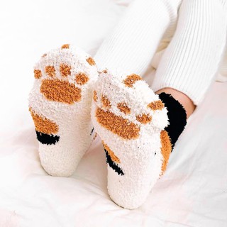 Vớ Mèo Giữ Ấm