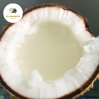 Dừa Sáp Cầu Kè loại thường ngon | BigBuy360 - bigbuy360.vn