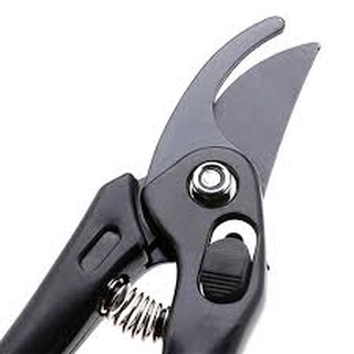 Kéo cắt tỉa cây cao cấp nội địa Nhật Bản