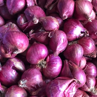 Hành Tím Củ 🧅 hành chuẩn Huế( 1Kg)