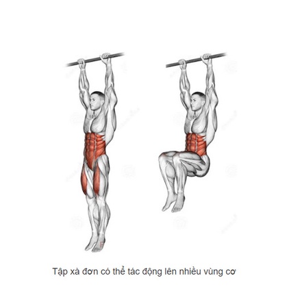 Xà đơn xà kép đa năng ZK - 07