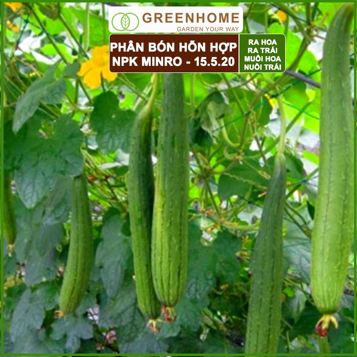 Bộ 2 Phân NPK 15-5-20 Minro, bao 200gr, phân bón kích ra hoa, đậu trái, nuôi hoa, nuôi trái |Greenhome