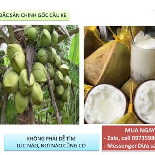 Dừa sáp đặc sản Cầu Kè loại 2