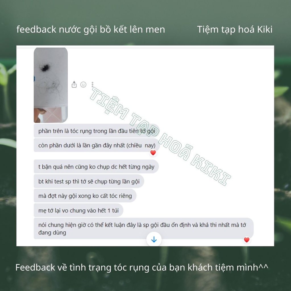 Nước gội 100% tự nhiên - bồ kết lên men