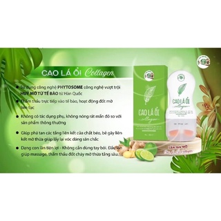 ( Sỉ 1 Lọ)  LĂN TAN MỠ CAO LÁ ỔI COLAGEN TH