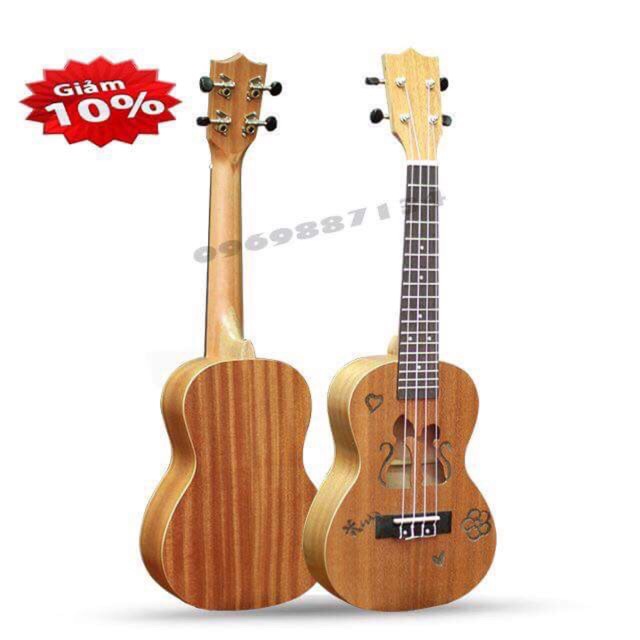 ĐÀN UKULELE CONCERT MÈO