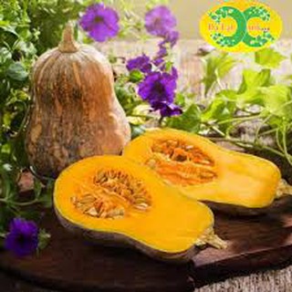 Bột bí ngô 50gr tạo màu vàng