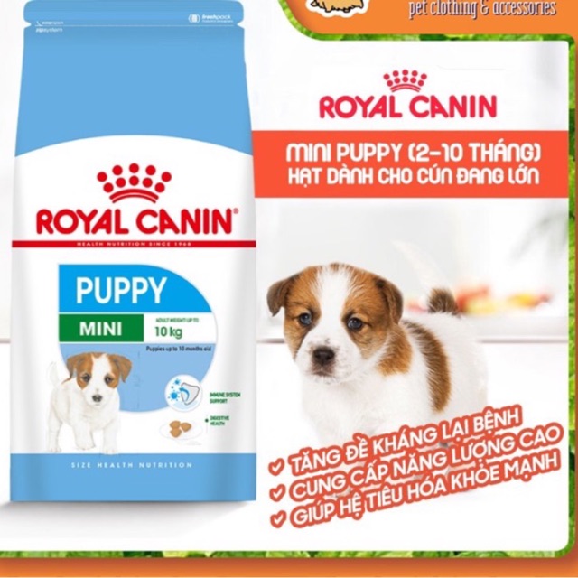 TÚI 2KG - HẠT KHÔ ROYAL CANIN MINI PUPPY