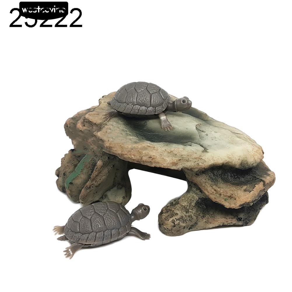 Phụ kiện nuôi rùa đặt trong bể cá