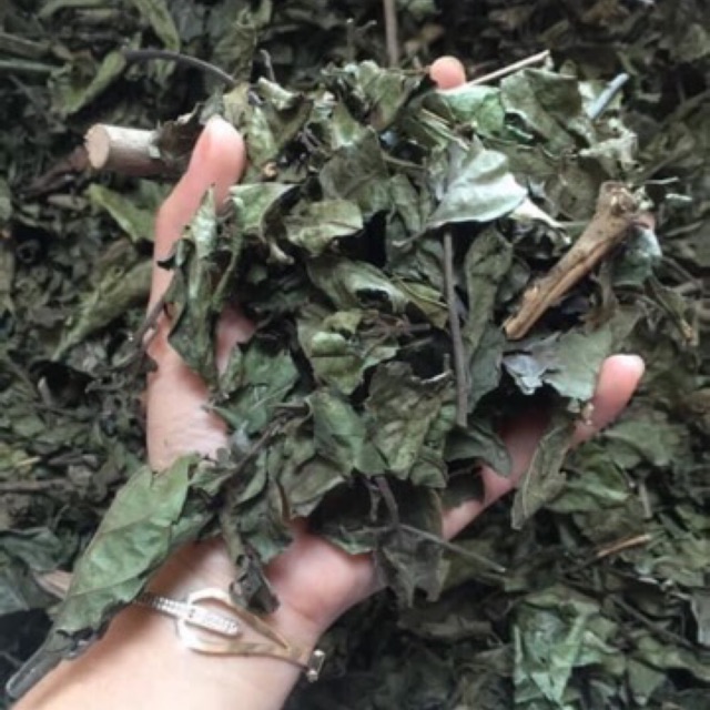 Xạ đen Điện Biên