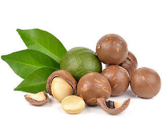 Hạt macca nứt vỏ cao cấp(macadamia) 500gram