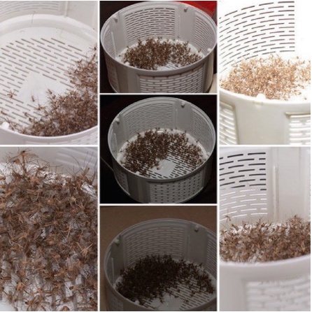 [HÀNG CAO CẤP] Máy Bắt Muỗi, Đèn Bắt Muỗi Thu Hút Côn Trùng Bằng Đèn Led ,Cắm cổng USB