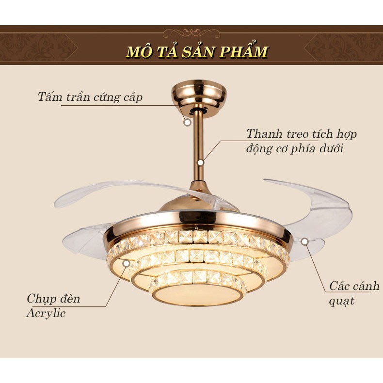 Đèn quạt trần MONSKY SINER hiện đại, tiện dụng cánh cụp xòe với 3 chế độ ánh sáng [ ẢNH THẬT 100%]