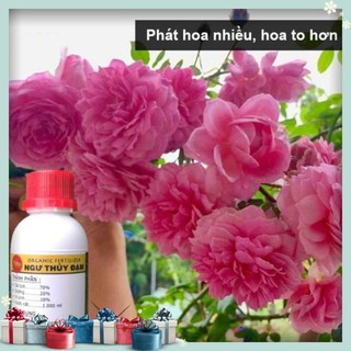 [Chất Mém Ngất-Giá Sập Sàn] 100ml Đạm cá, phân bón kích thích ra rễ, đọt, xanh lá, nhiều hoa, hồng, lan, rau, trái, củ