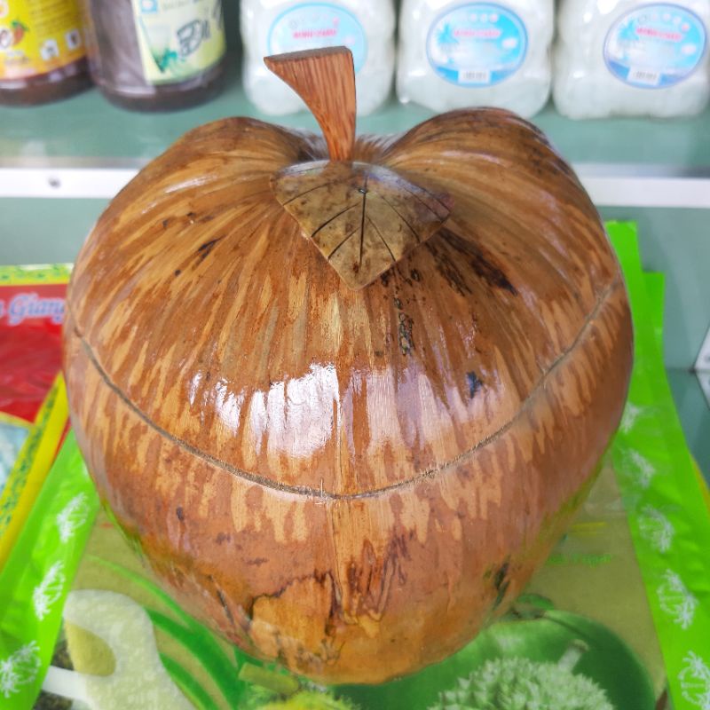 Vỏ bình trái dừa (sơn bóng không màu)