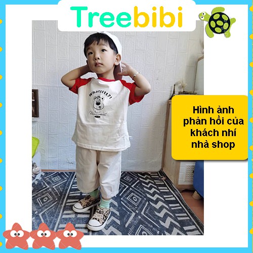 Áo thun tay ngắn phối màu 100% cotton cho bé trai và bé gái 8 -24 kí-  Áo phông TreeBiBi shop