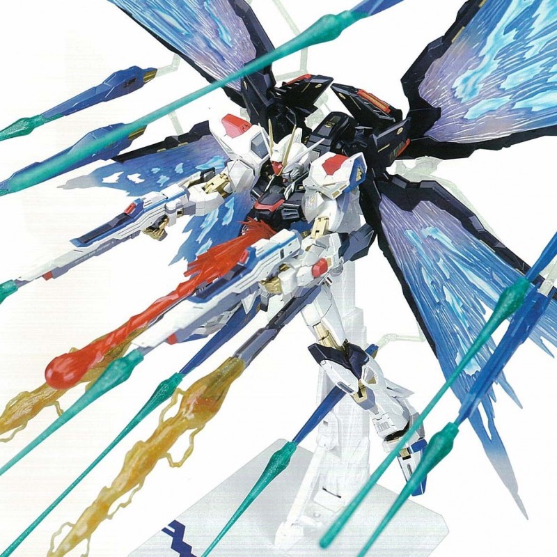 MÔ HÌNH GUNDAM MG HIRM 1/100 DRAGON MOMOKO ZGMF-X20A STRIKE FREEDOM GUNDAM METAL FRAME & WING OF LIGHT &EFFECT PART MMK