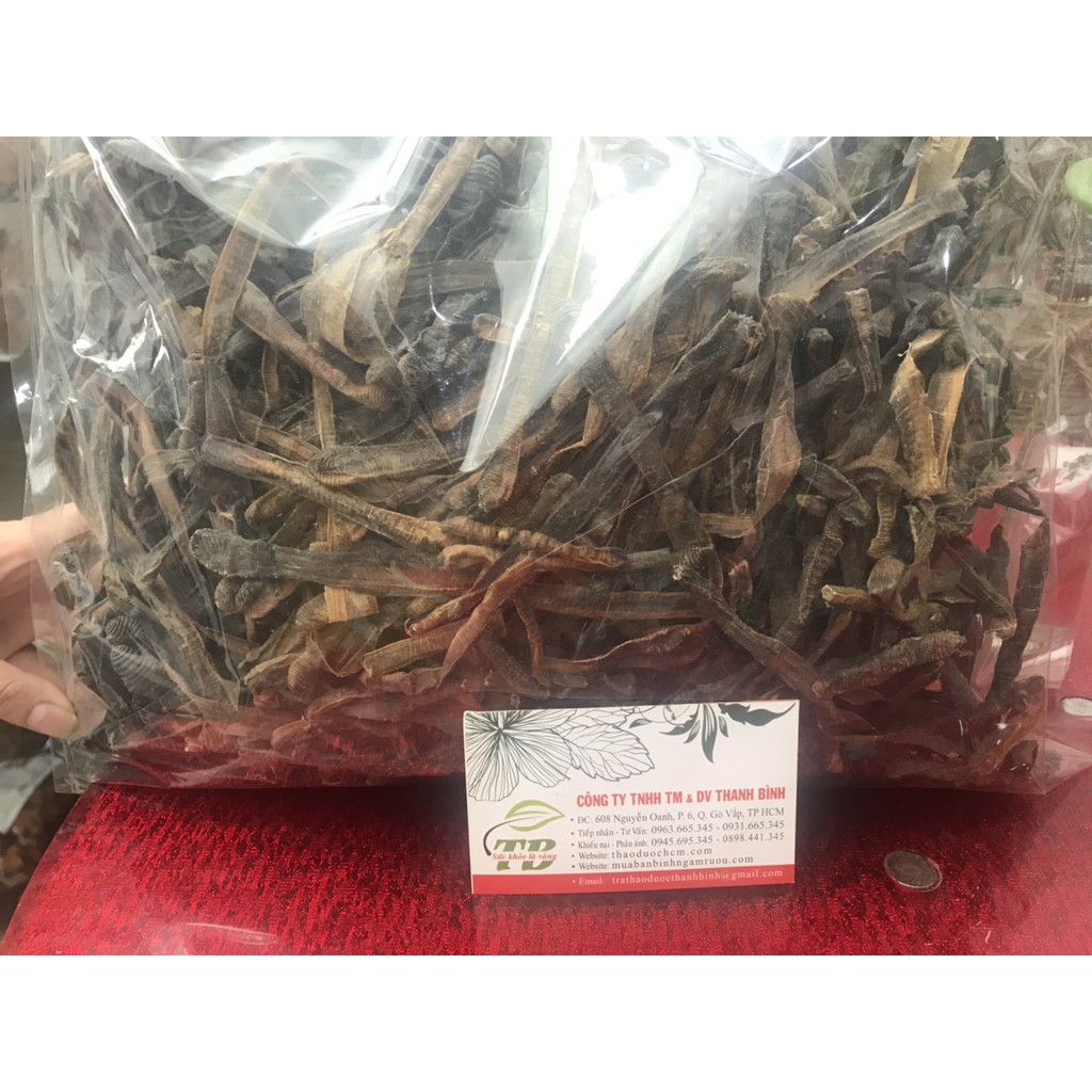 Địa Long (Giun Đất) 100g - Lương Y Thanh Bình