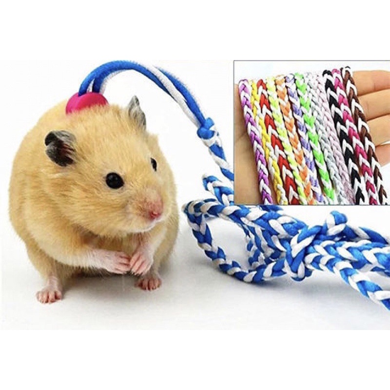 Dây dắt hamster đi dạo nhiều màu dài 1.4m điều chỉnh được dây