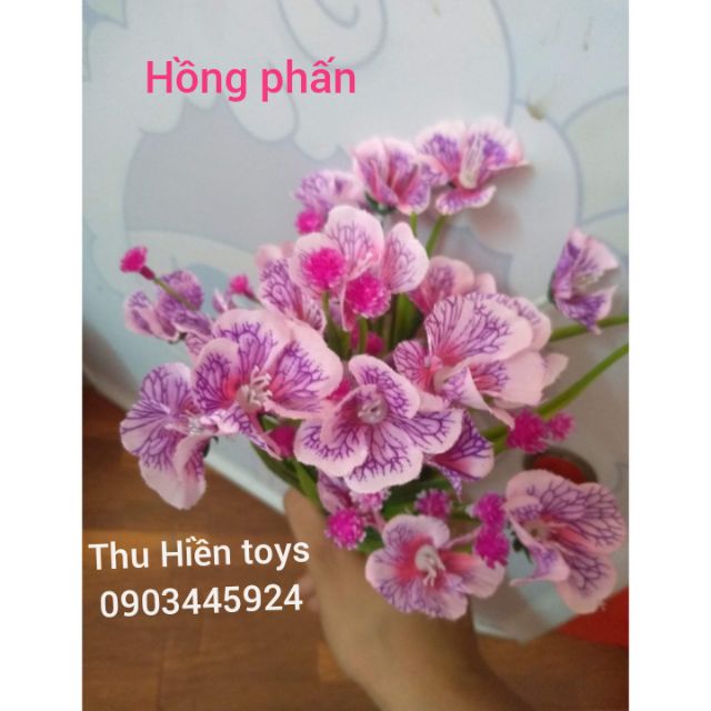 Hoa Giả - Hoa Thủy Tiên Mẫu Mới