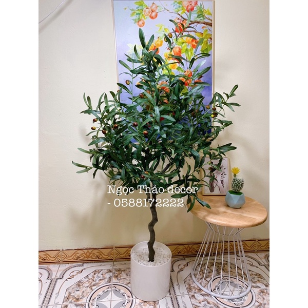 cây oliu giả 1m2,1m6_Ngọc Thảo decor