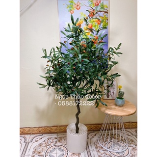 Cây oliu giả 1m2,1m6_Ngọc Thảo decor