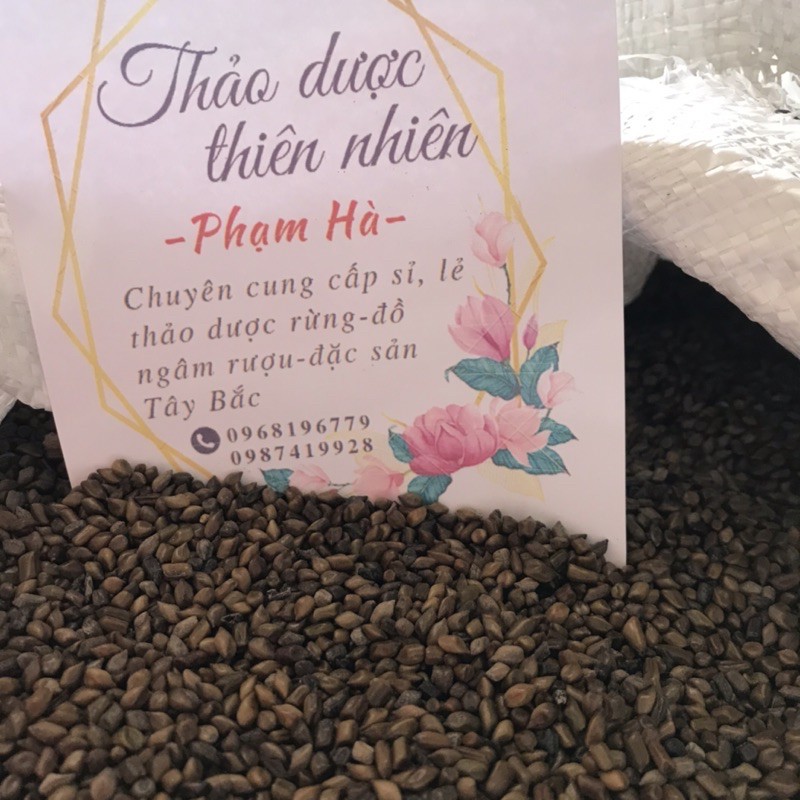 Hạt muồng muồng 1kg | BigBuy360 - bigbuy360.vn