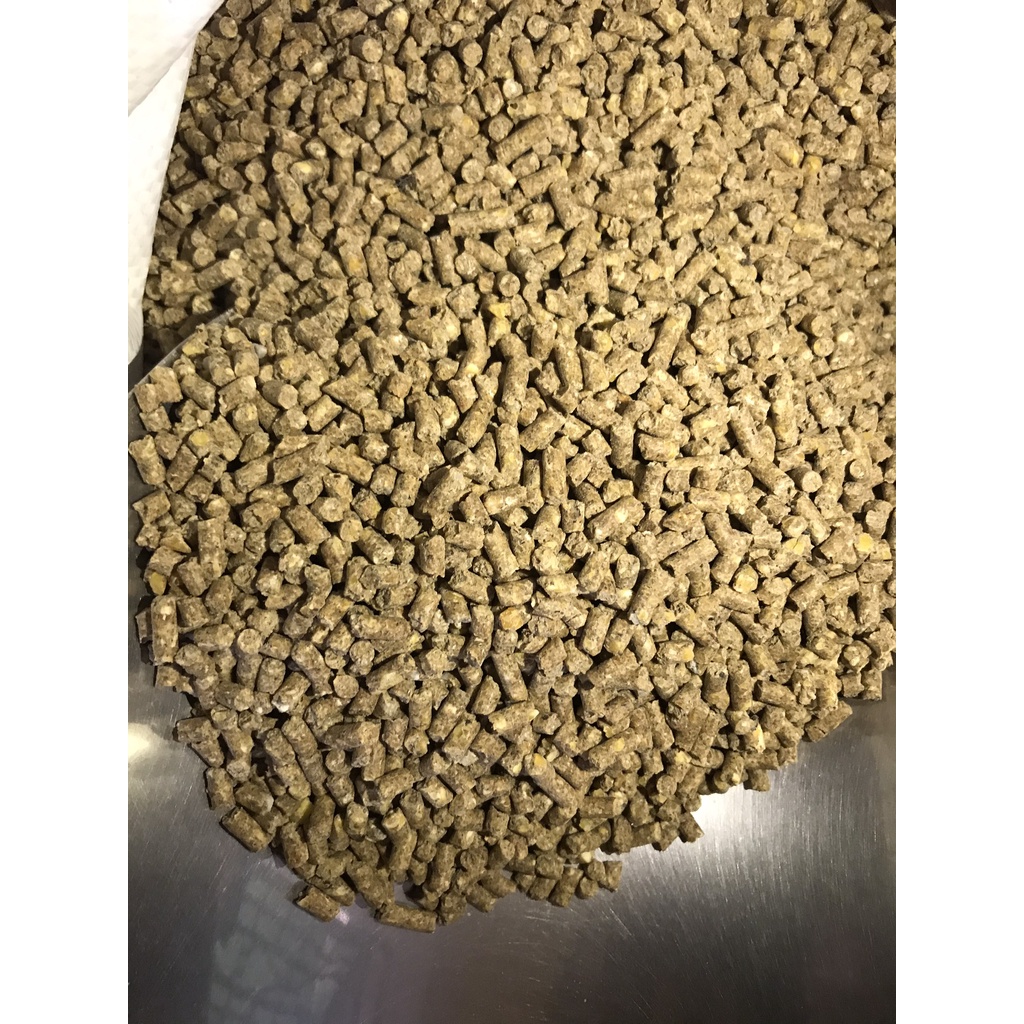 Cám Gà Con - Cám Gà Đẻ | Thức ăn hỗn hợp cho gà con, gà đẻ, gà thịt