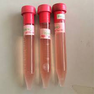 Kích Kie Duy đỏ - ống 10ml