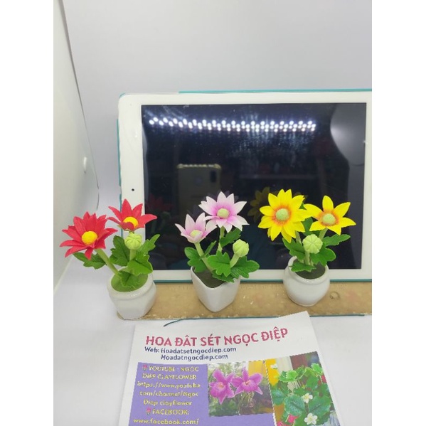 20 CHẬU HOA ĐẤT SÉT MINI 10cm. Giao ngẫu nhiên
