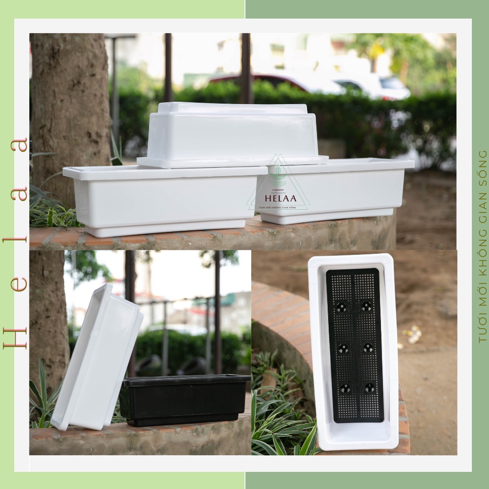 Chậu Trồng Rau Hình Chữ Nhật, Khay Nhựa Trồng Rau Thông Minh, Máng, Giá, Bồn Trồng Hoa, Củ Quả - 2 Màu Sắc Kích Cỡ