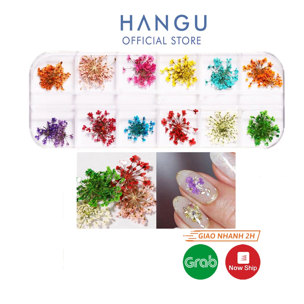 Hoa khô nail trang trí móng cánh nhỏ 12 màu