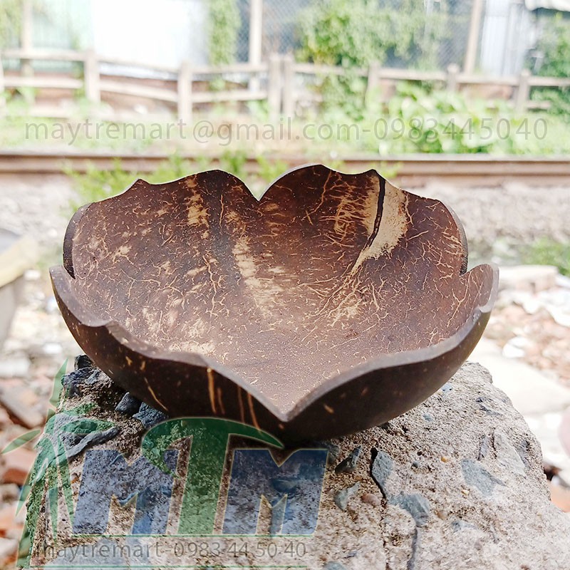 Bát dừa l Đĩa dừa bông mai