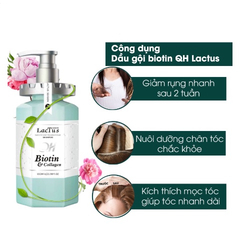 Dầu gội biotin QH lactus season giảm rụng tóc, ngăn gàu dưỡng ẩm QH lactus season biotin collagen