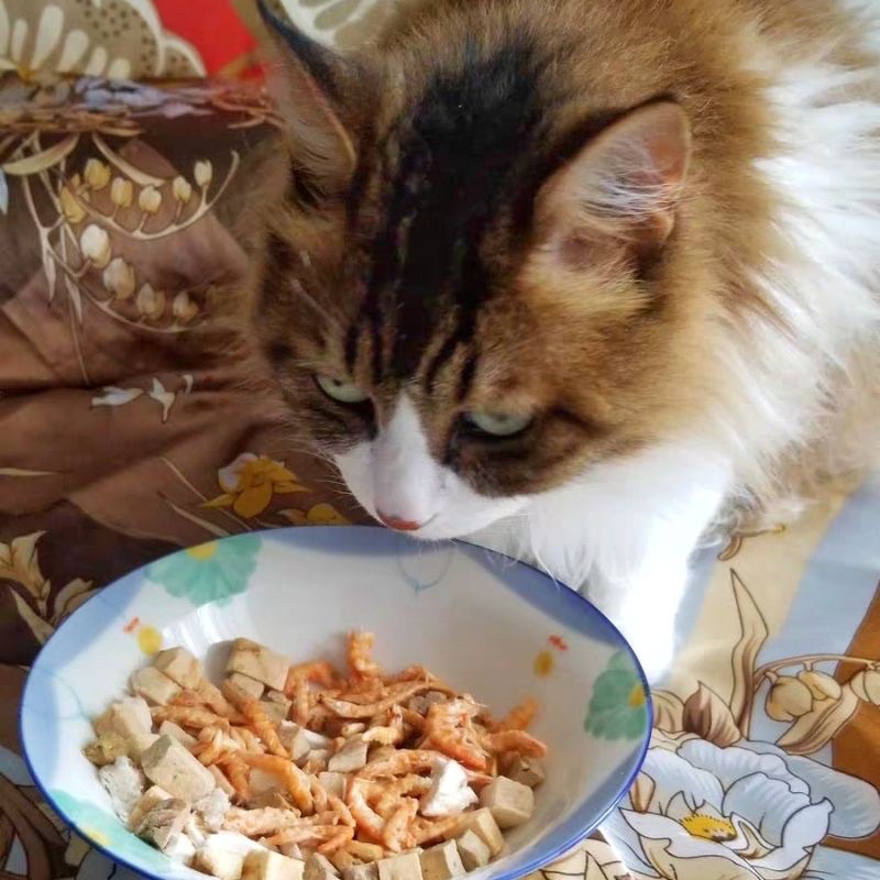 TÔM KHÔ CHO CHÓ MÈO HAMSTER SÓC RÙA CÁ GÓI 40g