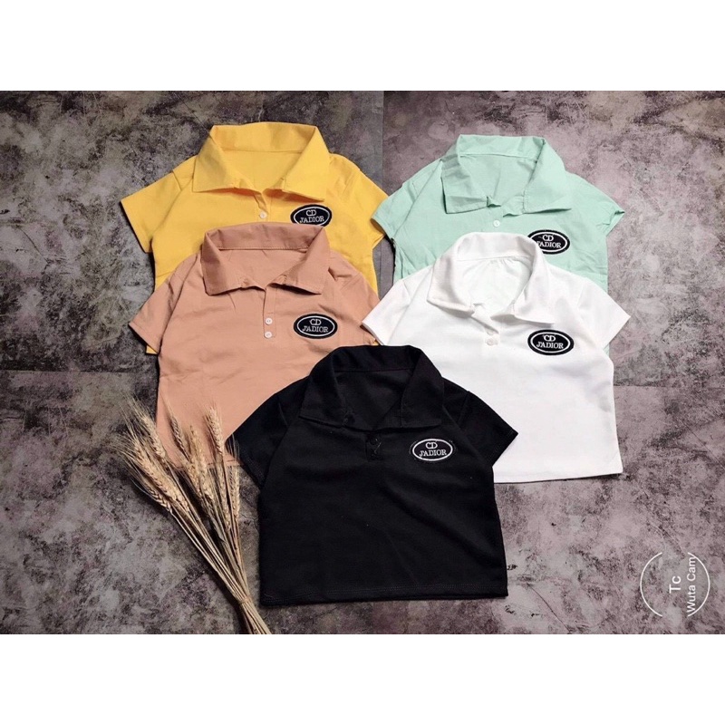 Áo Croptop Cổ Trụ POLO Tay Ngắn Dáng Ôm Nhẹ Ulzzang, Áo Thun Croptop Có Cổ (4 Màu) Lan..shop