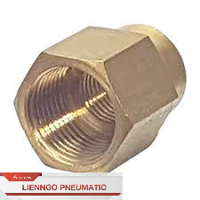 Nối đồng thau ren trong 2 đầu khí nén chịu áp lực cao/ măng sông đồng/ nối chuyển ren trong
