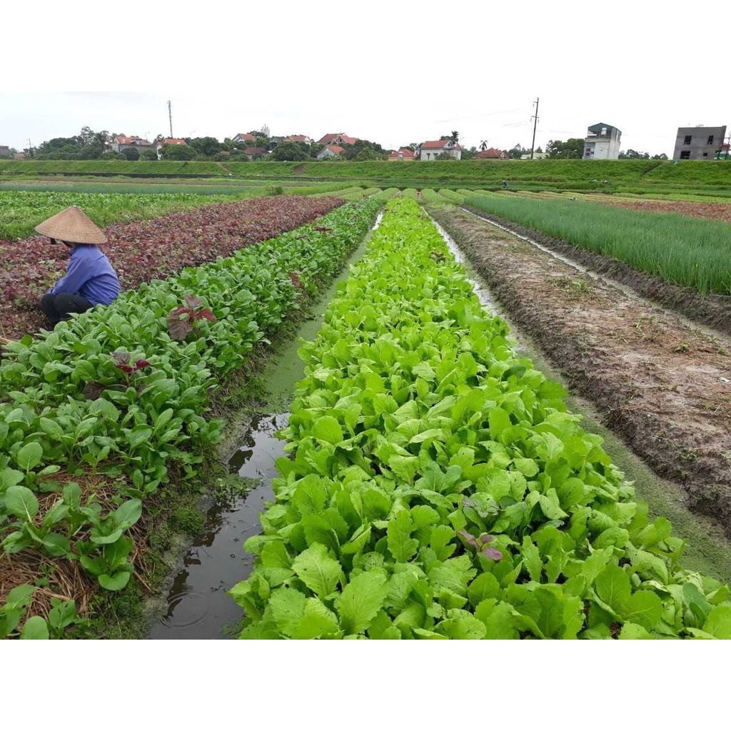 Phân Bón Đầu Trâu Đa Năng 3 Màu NPK 17-12-7+TE Chuyên Dùng Cây Cảnh, Rau Màu - Gói chiết 500gr