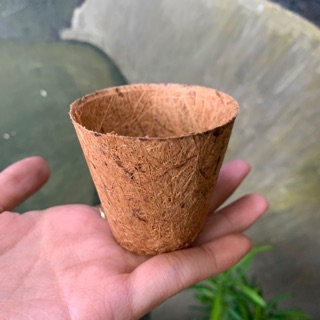 Chậu Xơ Dừa ươm cây, trồng sen đá - Size nhỏ