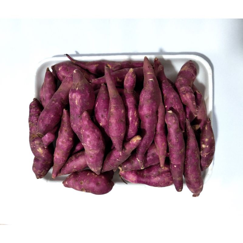 KHOAI LANG NHẬT SIZE TRUNG