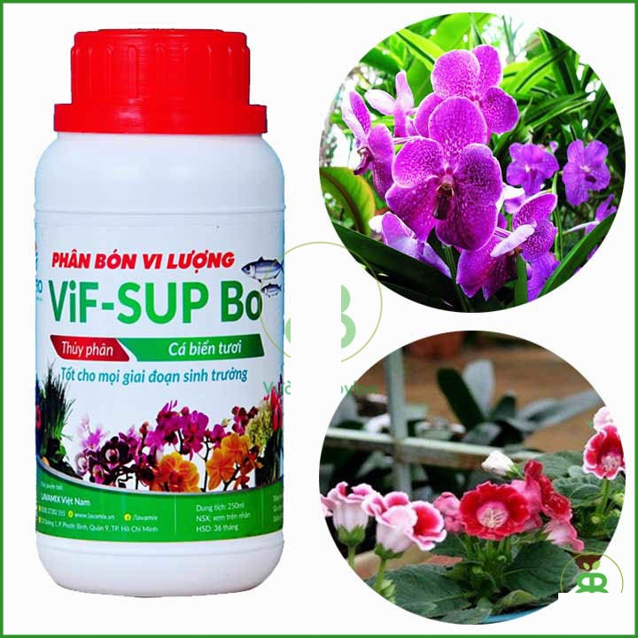 Phân Bón đạm Thủy Phân Cá Biển Chuyên Lan, Cây Kiểng Tốt Cho Mọi Giai Đoạn VIF SUP Bo - Chai 250ml