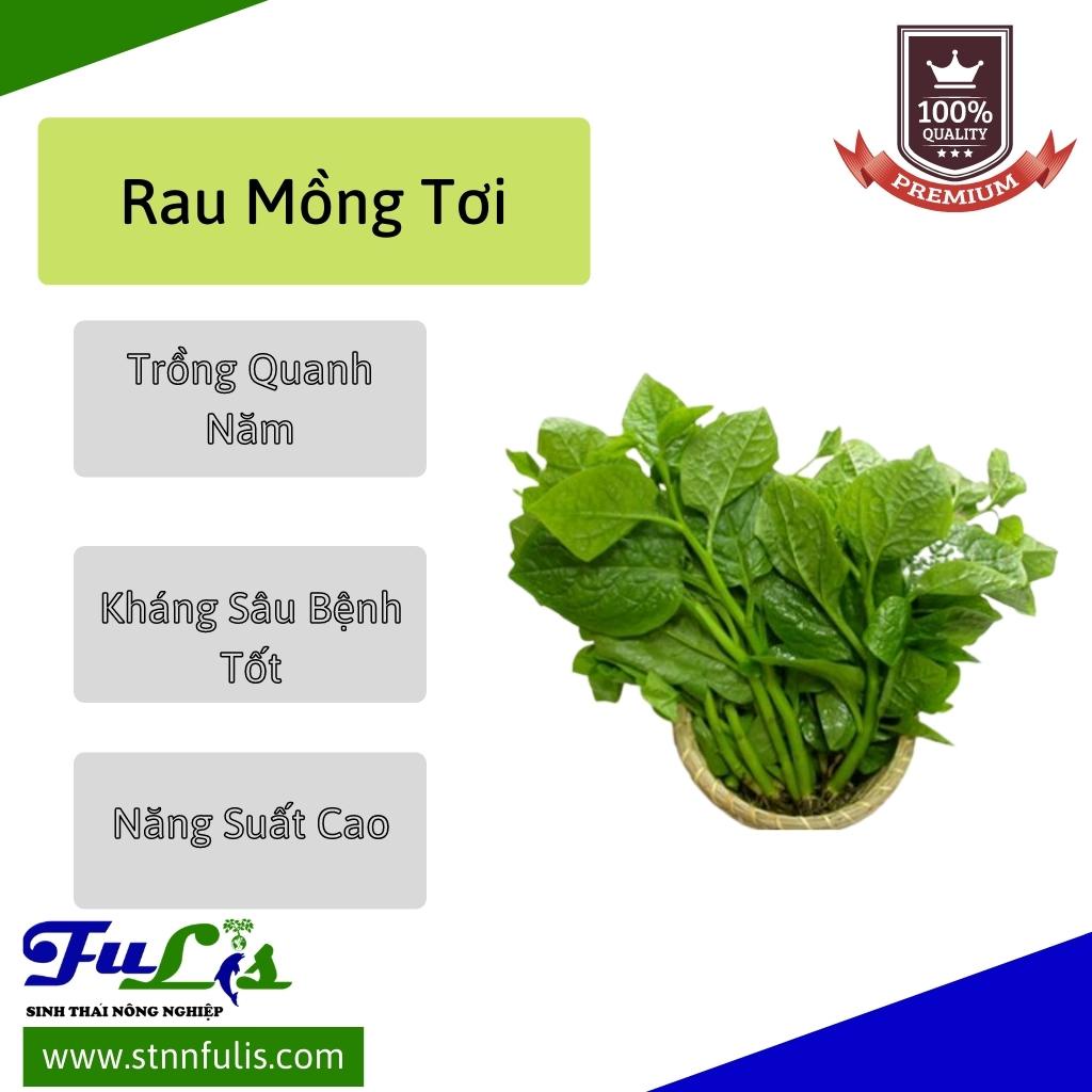 Hạt Giống Rau Mồng Tơi - Rau Mồng Tơi Lá Trầu -  Sinh Trưởng Phát Triển Mạnh - stnnfulis