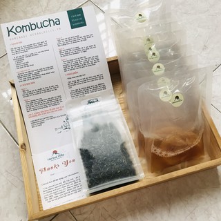 Scoby + Trà Shan tuyết + Hướng dẫn nuôi scoby