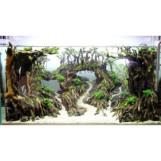 Lũa Rễ Rừng (100g) - ghép bonsai, bố cục