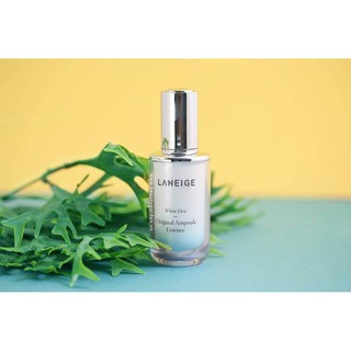 [CÓ HÓA ĐƠN LOTTEDUTYFREE] Kem dưỡng LA_NEIGE WHITE DEW ORIGINAL AMPOULE ESSENCE 40ml