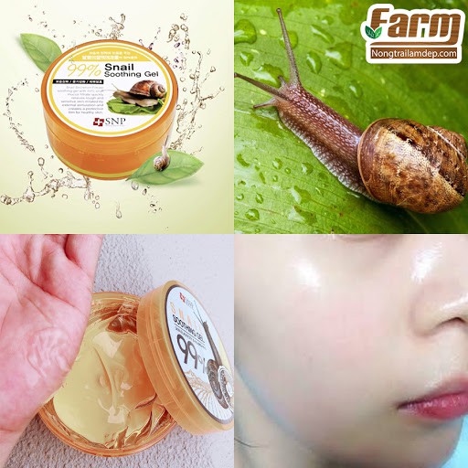 Gel Làm Dịu Và Cấp Ẩm Cho Da Chiết Xuất Từ Lô Hội Và Ốc Sên Hàn Quốc SNP Aloe Vera 97%, Snail 99% Soothing Gel ( 300g)