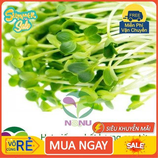 Hạt giống rau mầm củ cải trắng Ấn Độ size hạt trung bình - 1Kg [hàng chất lượng]