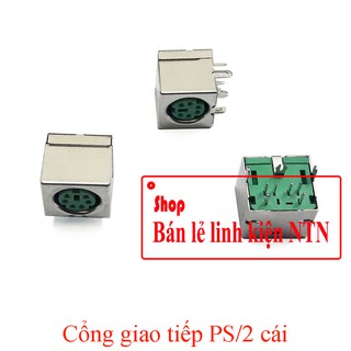 Cổng giao tiếp PS/2 cái