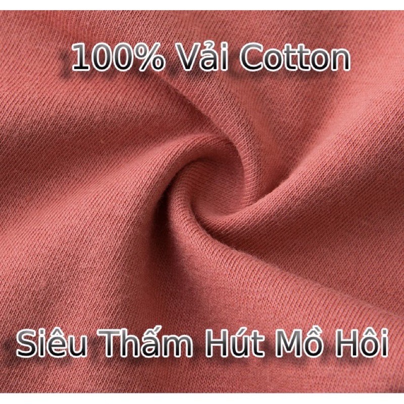 Quần lót nữ cotton y tế kháng khuẩn co giãn 4 chiều