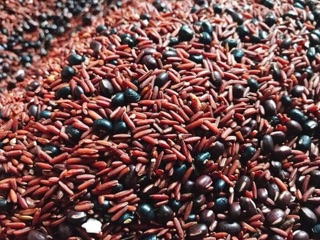 Trà gạo lứt đỗ đen rang 1kg